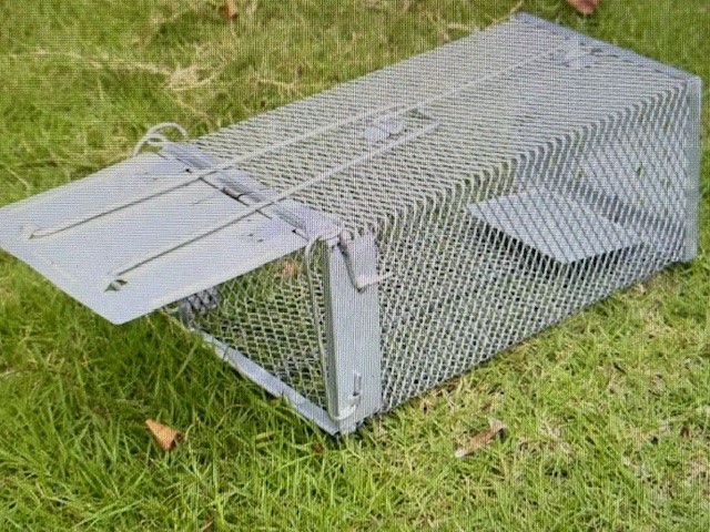 LARGE RAT TRAP 35 x 17.5cm